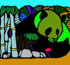 Dibujo Oso panda y bambú pintado por valentino