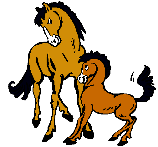 Caballos