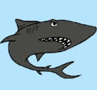 Dibujo Tiburón pintado por charli