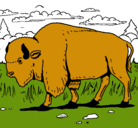 Dibujo Búfalo  pintado por jesuscm