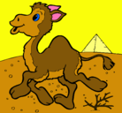 Dibujo Camello pintado por Celosa