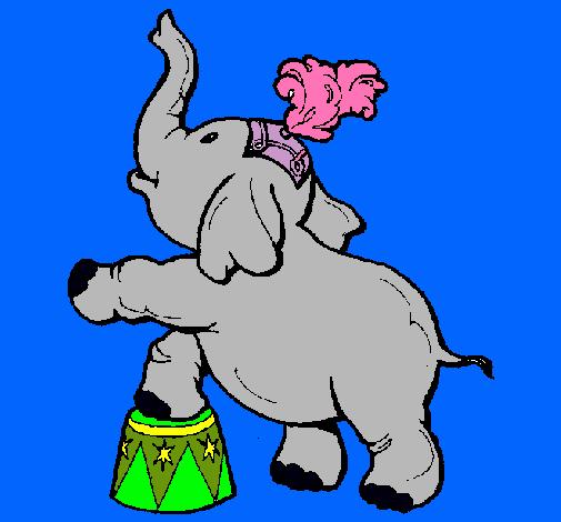 Elefante