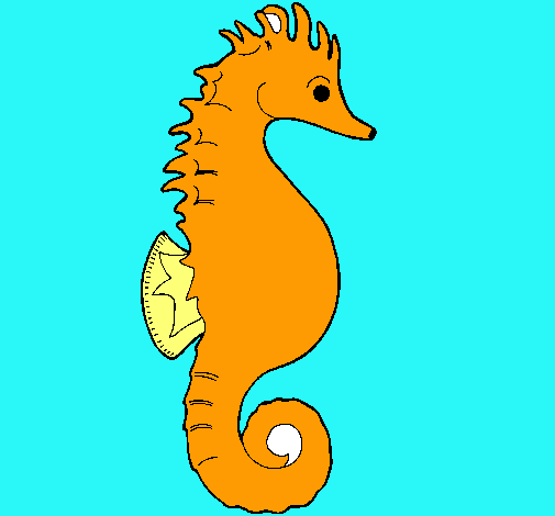 Caballito de mar