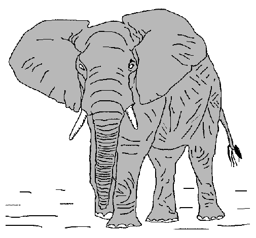 Dibujo Elefante pintado por Alvaro1601