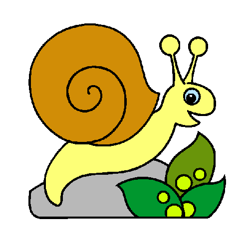 Caracol