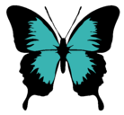 Dibujo Mariposa con alas negras pintado por CHOTIS