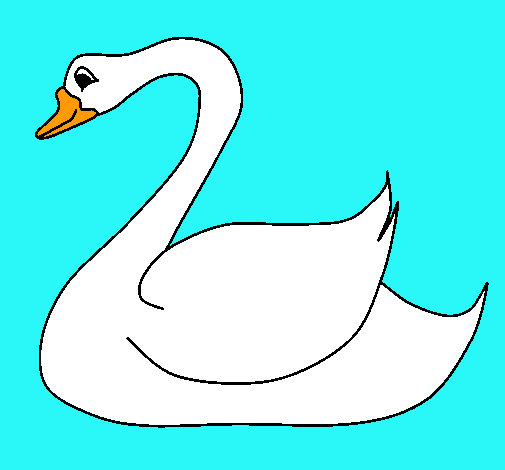 Cisne