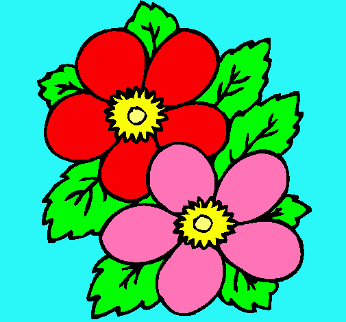 Dibujo Flores pintado por sorey