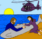 Dibujo Rescate ballena pintado por ale