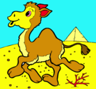 Dibujo Camello pintado por tepach