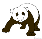 Dibujo Oso panda pintado por ines6