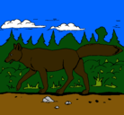 Dibujo Coyote pintado por ornella