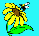 Dibujo Margarita con abeja pintado por urias023