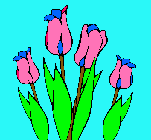 Tulipanes