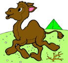 Dibujo Camello pintado por muuuuuuuuuuuuuu