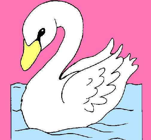 Cisne