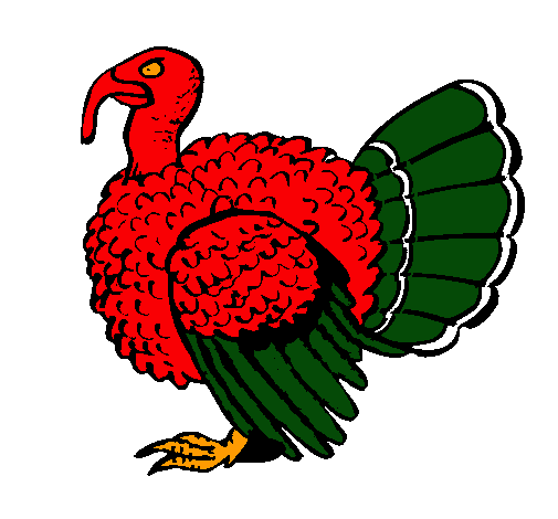 Pavo 