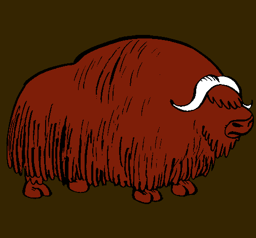 Bisonte