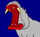 Dibujo Hipopótamo con la boca abierta pintado por fulanitop