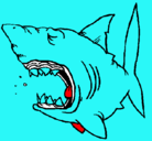 Dibujo Tiburón pintado por guero