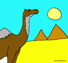 Dibujo Camello pintado por ana323