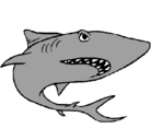 Dibujo Tiburón pintado por GRIS