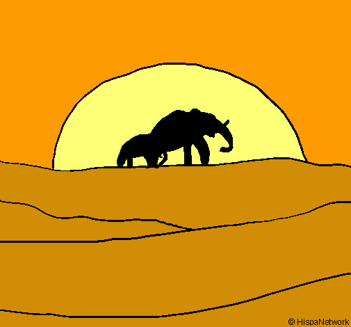 Elefante en el amanecer