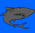 Dibujo Tiburón pintado por loco