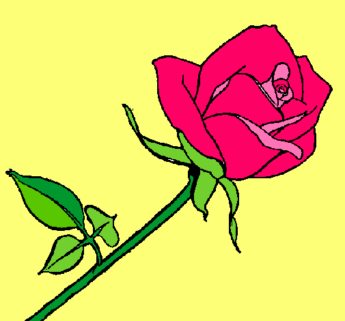 Dibujo Rosa pintado por anaispc