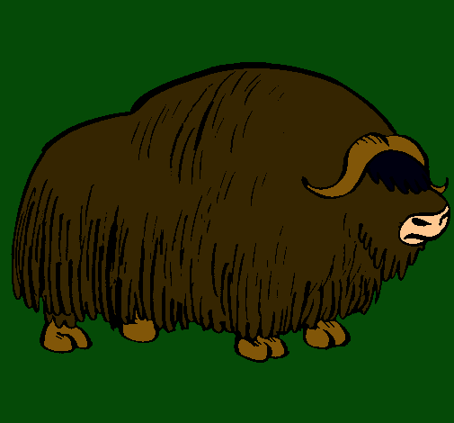 Bisonte