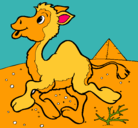 Dibujo Camello pintado por shelyn