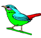 Dibujo Pájaro silvestre pintado por salma