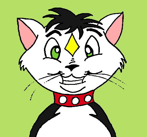 Dibujo Gato con collar pintado por Nohemy