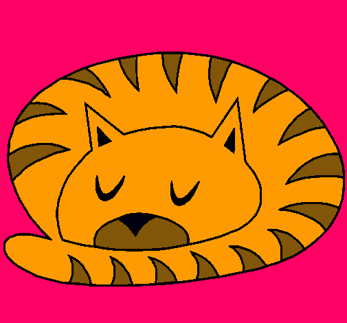 Gato durmiendo