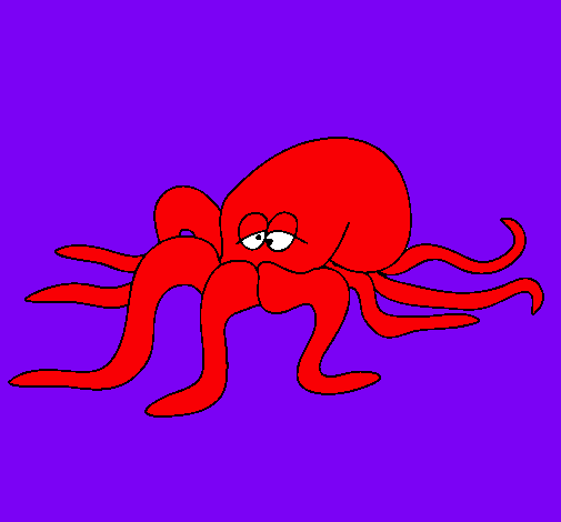 Pulpo