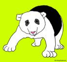 Dibujo Oso panda pintado por Hadu