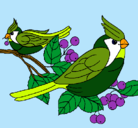 Dibujo Pájaros pintado por Paolitha