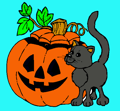 Calabaza y gato