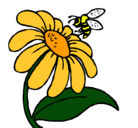 Dibujo Margarita con abeja pintado por brianda
