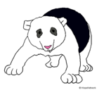 Dibujo Oso panda pintado por hsimi
