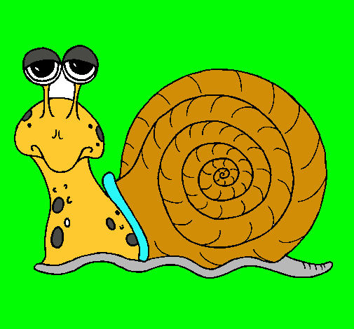 Caracol