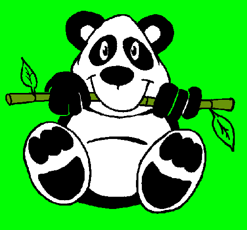 Oso panda