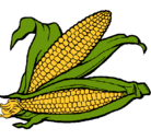 Dibujo Mazorca de maíz pintado por brisaaa