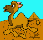 Dibujo Camello pintado por saritaegusquiza
