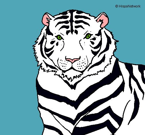Dibujo Tigre pintado por Nohemy