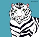 Dibujo Tigre pintado por Nohemy