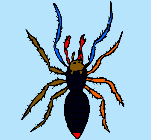 Araña tigre