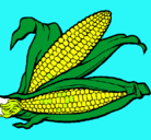 Dibujo Mazorca de maíz pintado por starforever
