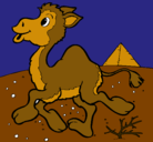Dibujo Camello pintado por camel