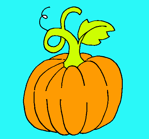 Calabaza